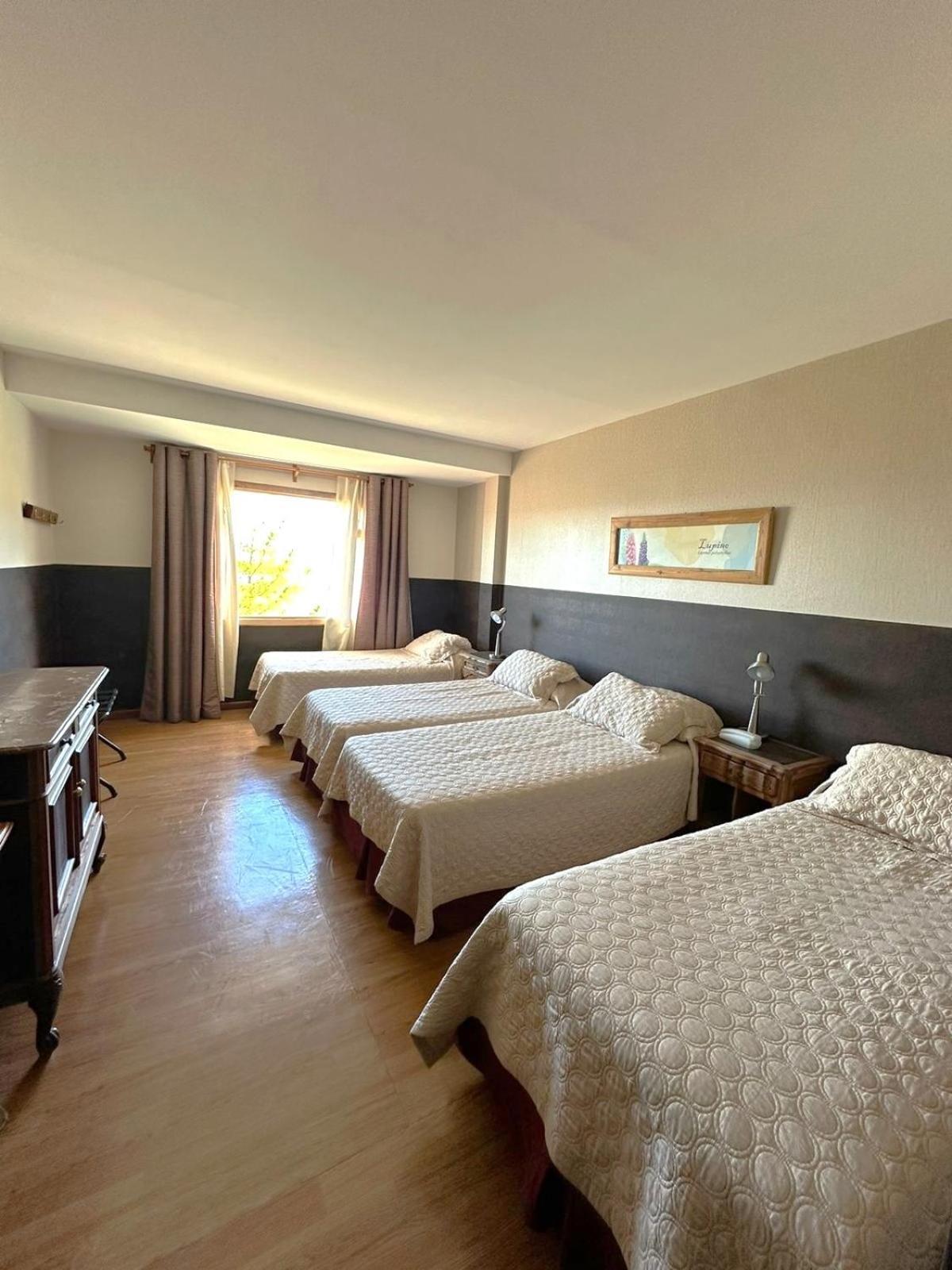 Meulen Hosteria Y Apart Ел Калафате Стая снимка
